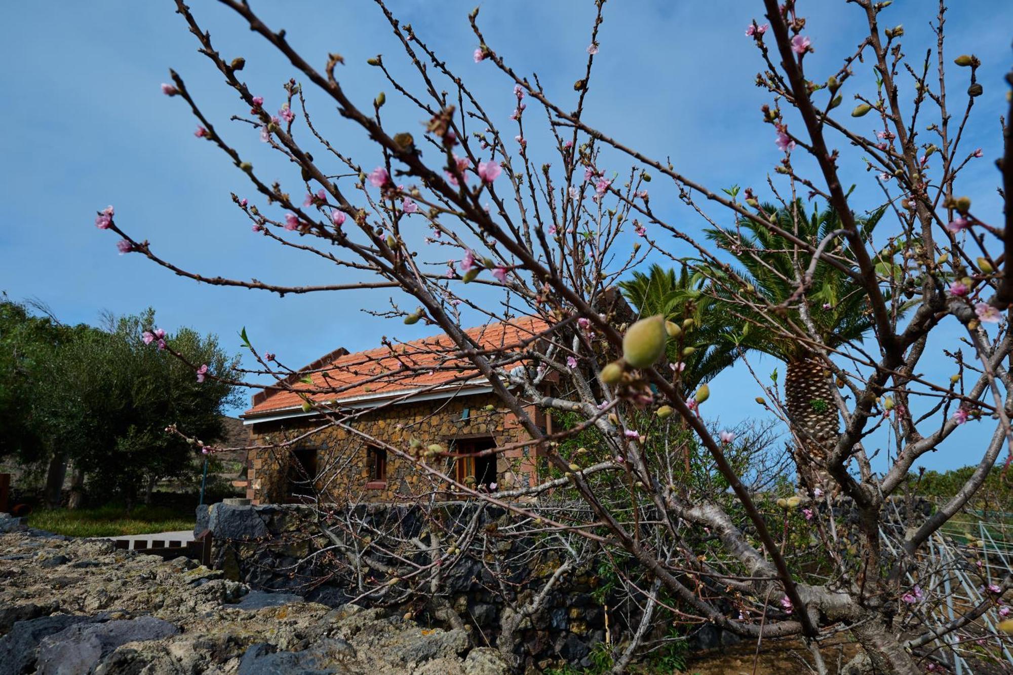 Casa La Casamera Guarazoca エクステリア 写真